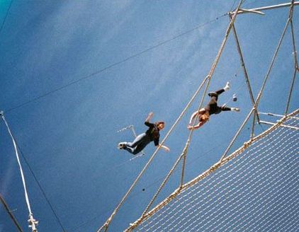 Why are so few trying to fly above their safety net?