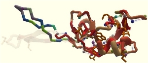 Molecular configuration