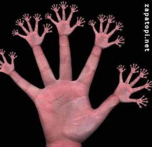 fractal hand - symbol of scalability