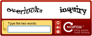 ReCAPTCHA example