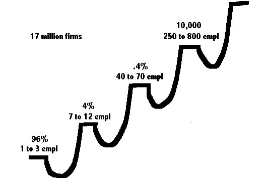 Company survival patterns by size of company