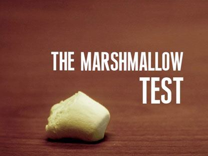 The Marshmallow Test