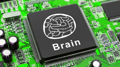 Brain in a computer